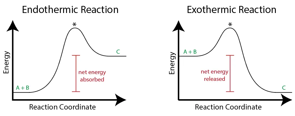 Figure 7.6: (a) Endothermic reaction (b) Exothermic reaction